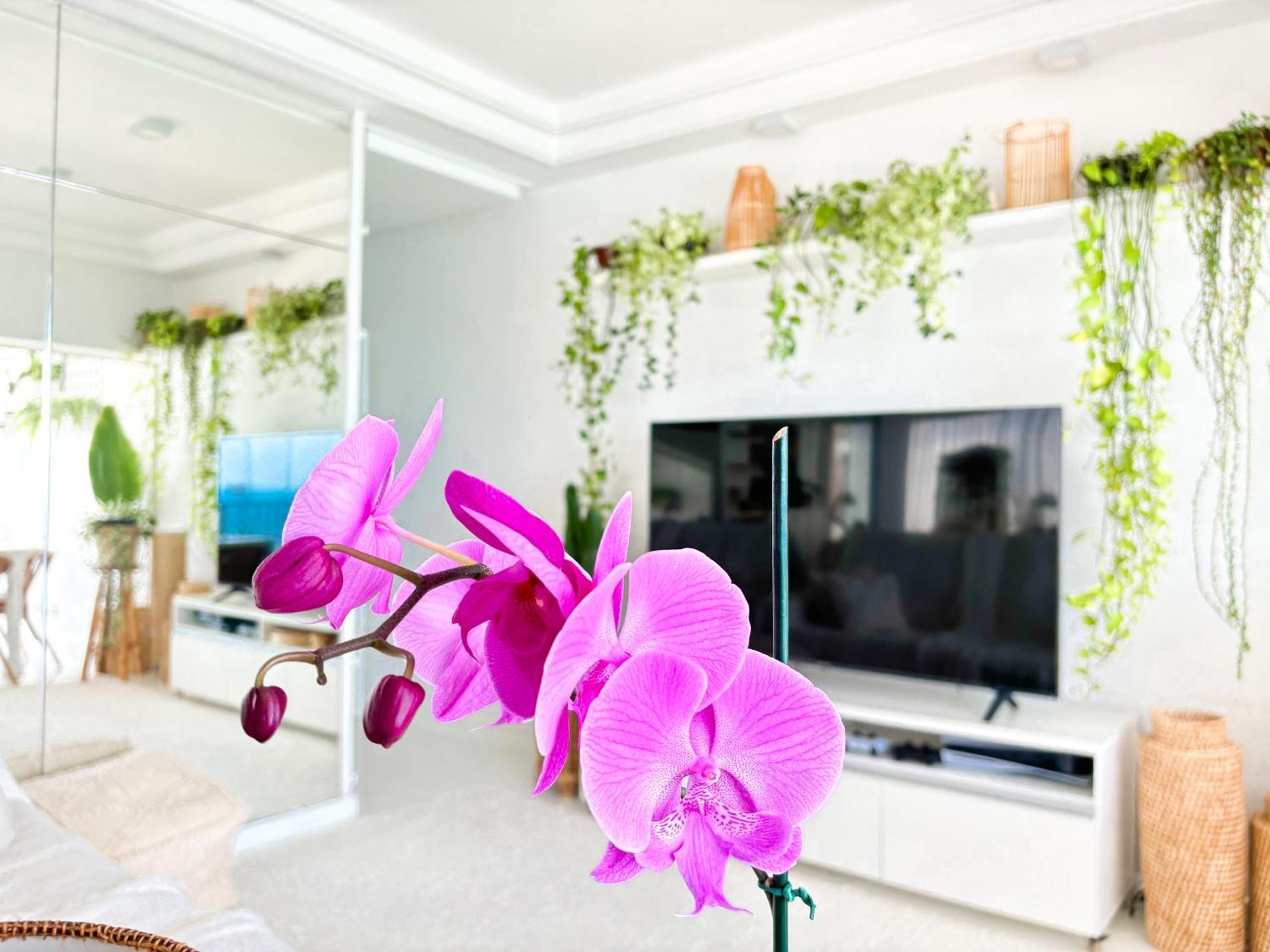 Your Place In Rio Appartement
