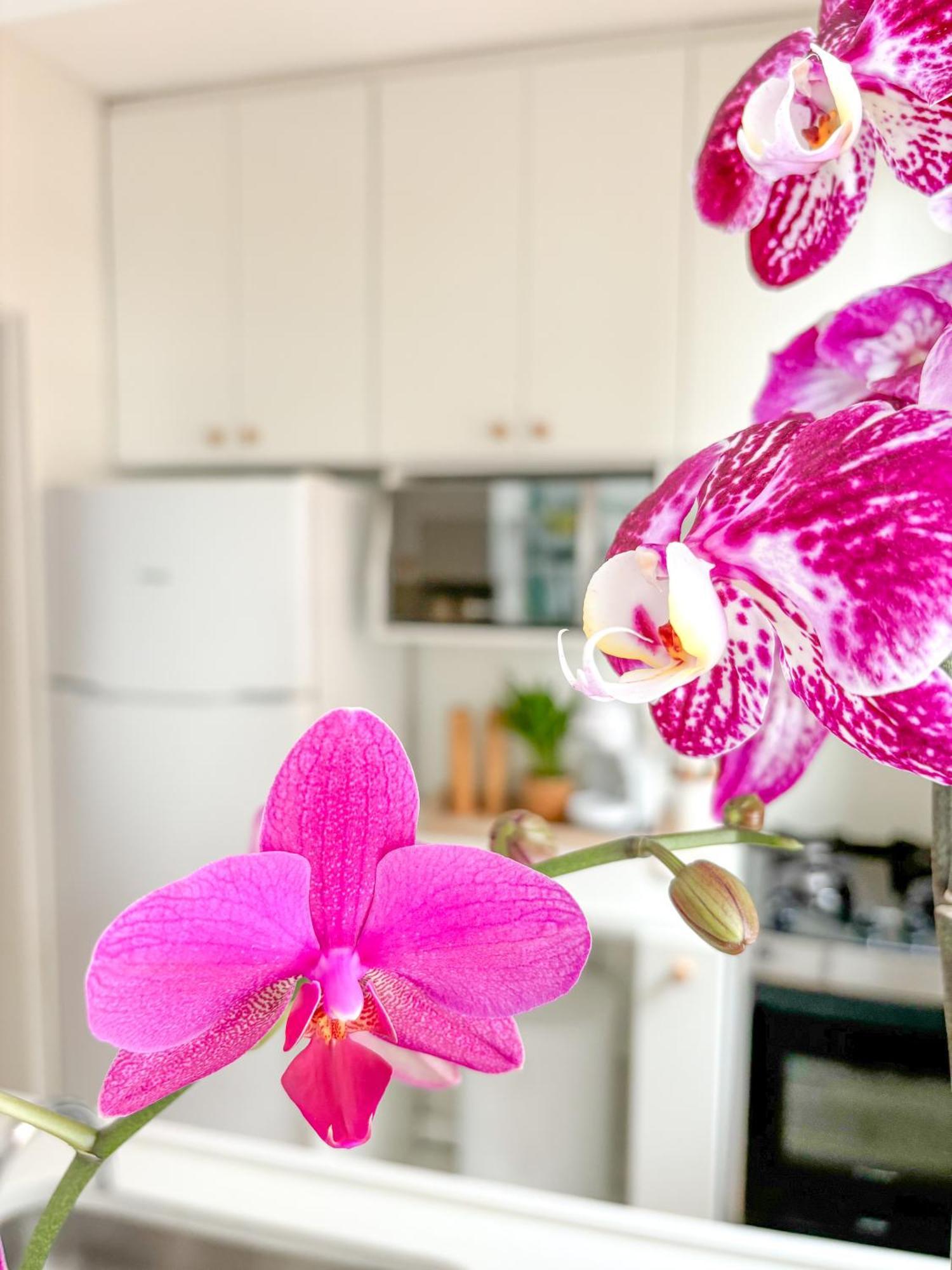 Appartement Your Place In Rio *